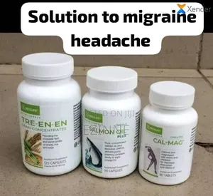 Supplement