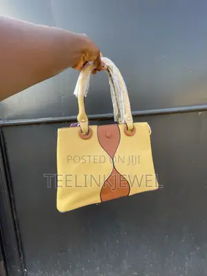 Ladies Hand Bag