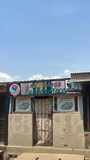 Young Male Laundry Assistant