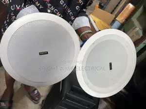 40wt Ceiling Speaker