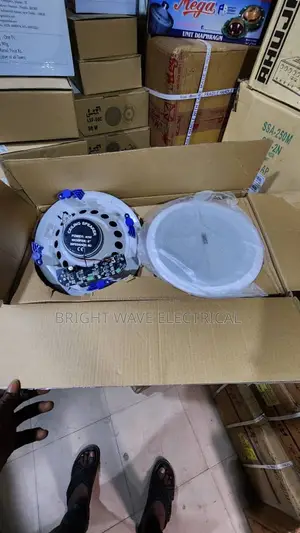 30wt Ceiling Speaker