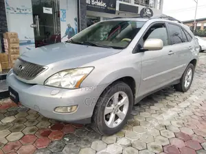 Lexus RX 2007 Silver