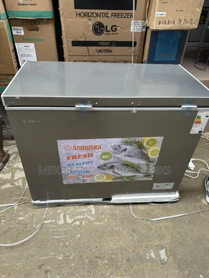 Snowsea Chest Freezer 308L