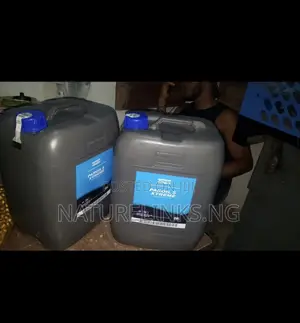 Atlas Copco Paroil S Xtreme Compressor Oil 20L