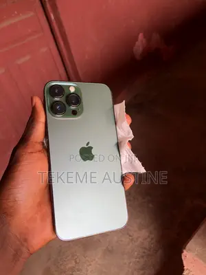 Apple iPhone 13 Pro Max 256 GB Green
