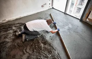 House and Office Painting and Screeding