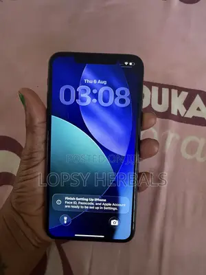 Apple iPhone 11 Pro Max 256 GB Gray