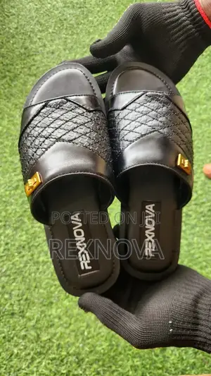 RexNova Onyx