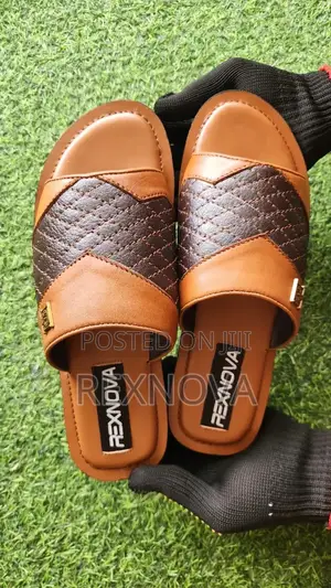 RexNova Onyx