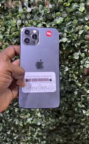Apple iPhone 12 Pro Max 256 GB Black