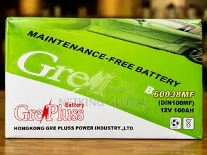 100AH Gree Pluss Battery