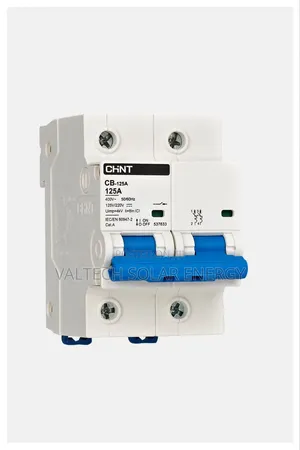 Original Chint 125a 2pole Dc Circuit Breaker