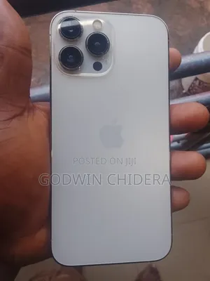 Apple iPhone 13 Pro Max 256 GB Silver