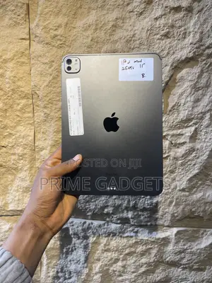 Apple iPad Pro 11 (2021) 256 GB Gray