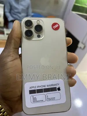 Apple iPhone 13 Pro Max 256 GB Gold