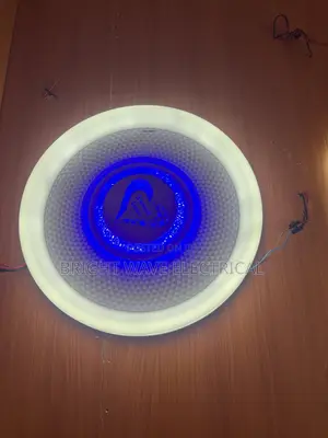 Luxury Ceiling Fitting