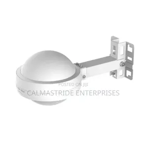 Ruijie Outdoor Access Point