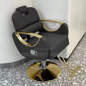 Salon Chair With Headrest