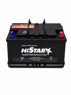 12V 100ah Histar Original Battery