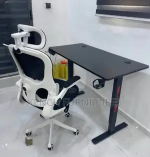 Ergonomic Setup.120cm Electric Sit-Stand Desk and Ergonomic Chair