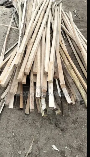 Ancient Abora Woods