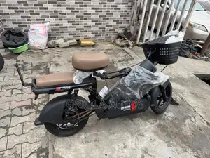 Electric Bike