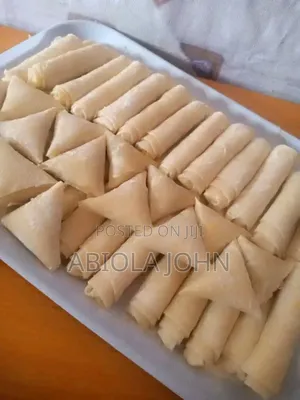 Ready to Fry Spring Rolls and Samosa
