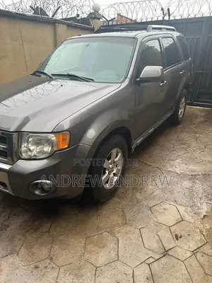 Ford Escape 2010 Silver