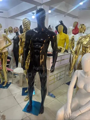 Nova G Mannequin Enterprise