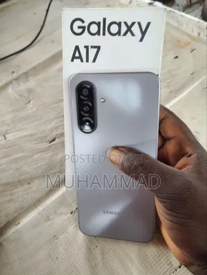 Samsung Galaxy A17 128 GB Gray