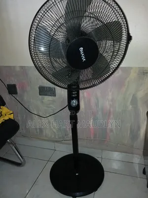 Standing Fan