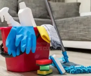 Cleaning Fumigation