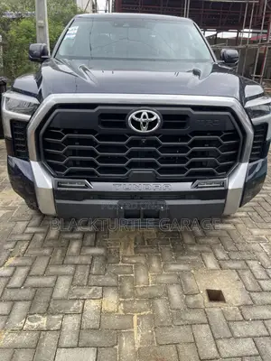 Toyota Tundra 2024 Blue