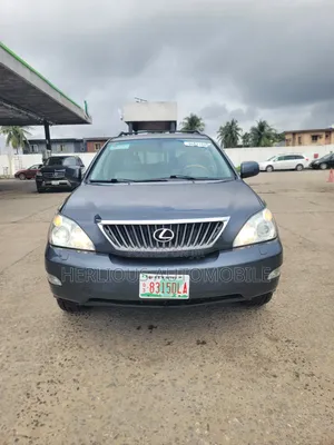 Lexus RX 2008 Gray