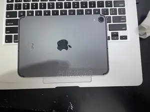 New Apple iPad mini 6 64 GB Gray