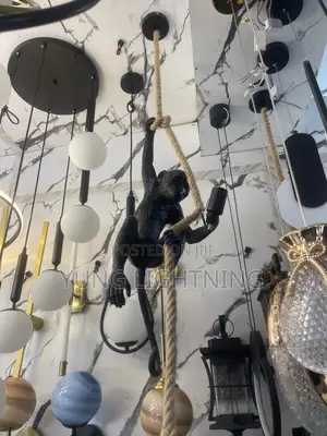 Luxury Monkey Rope Hanging Wall Light – Modern Home Decor Lamp