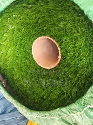 Spanish Product High Quality Artificial Grass 20mm