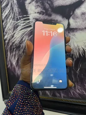 Apple iPhone 11 Pro Max 256 GB Gray