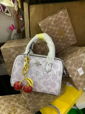 Affordable Coach Bag
