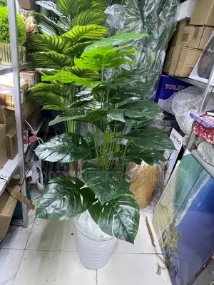 Amazing Standing Flowers
