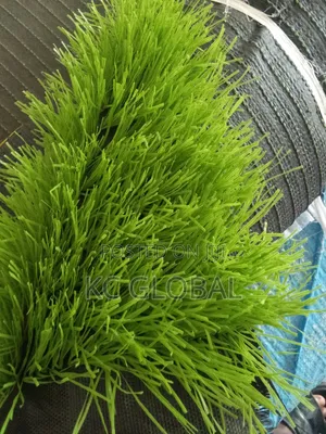 50mm Football Grass Double Colors
