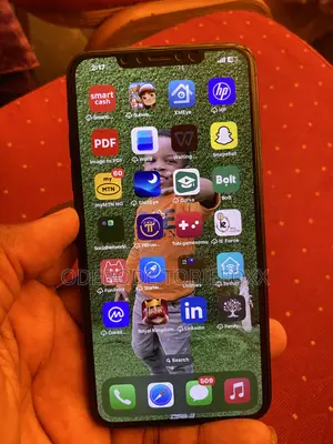 Apple iPhone 11 Pro Max 256 GB Gray