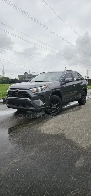 Toyota RAV4 2022 Gray