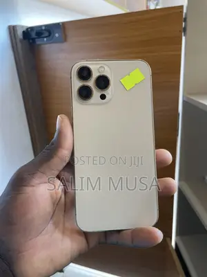Apple iPhone 13 Pro Max 256 GB Gold