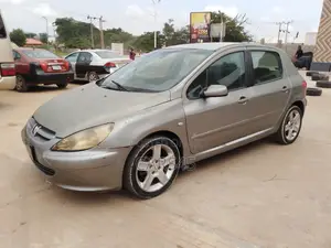 Peugeot 307 Rapier 2003 Silver