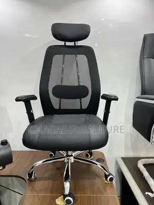Executive High-Back Ergonomic Mesh Chair With Chrome Spine Support
