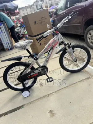 18’ Sports Bicycle for Kids