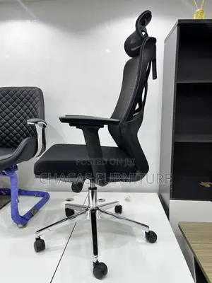 Premium Ergonomic Mesh Office Chair With Butterfly Lumbar Support