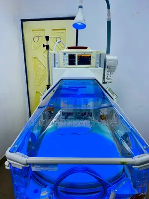 GE Giraffe OmniBed Neonatal Incubator Radiant Warmer