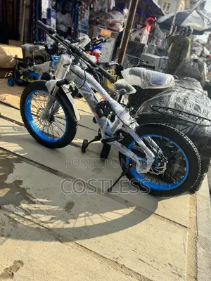 Fat Tire Mountain Bicycle